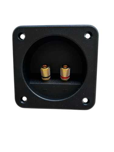 Terminal 98x98mm Ausschnitt rund T98 MS Au